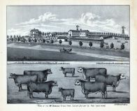Mc Donald Stock Farm, Dwight, Butler County, Nebraska State Atlas 1885
